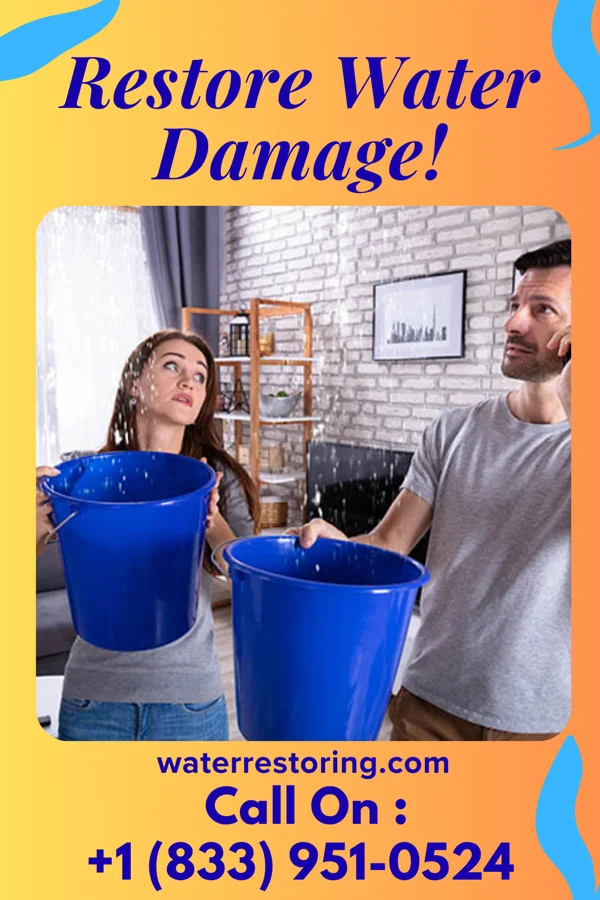 water restoration Titan Flood Mitigation Professionals Glenvar Heights