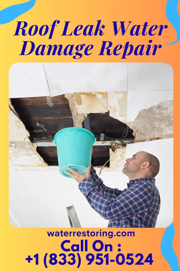 Roof Leak Water Damage Repair in Glenvar Heights, FL