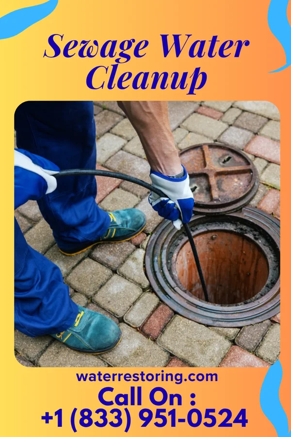 Sewage Water Cleanup in Glenvar Heights, FL