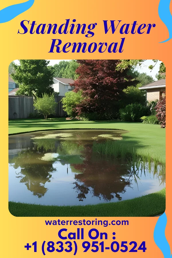 Standing Water Removal in Glenvar Heights, FL